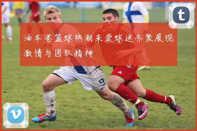 油车港篮球热潮来袭球迷齐聚展现激情与团队精神