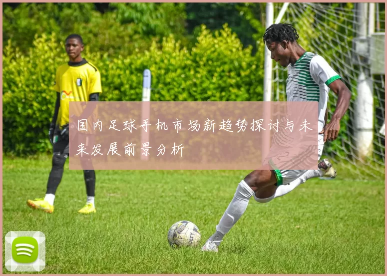 国内足球手机市场新趋势探讨与未来发展前景分析