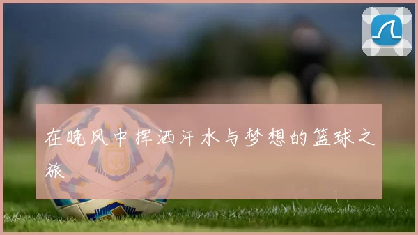 在晚风中挥洒汗水与梦想的篮球之旅