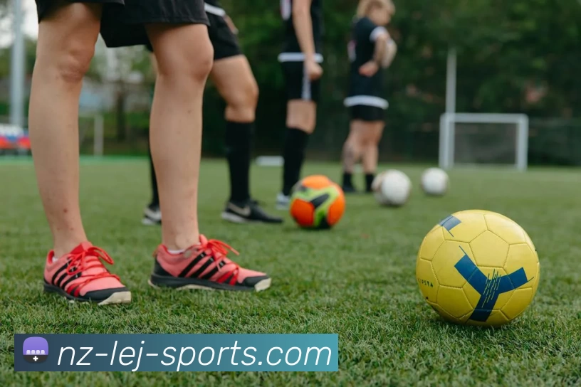 App Interface Preview